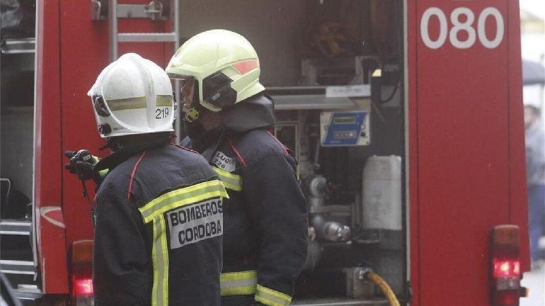 los-bomberos-de-cordoba-extinguen-un-pequeno-incendio-de-pastos-en-la-a-4